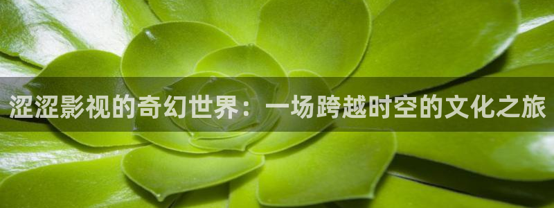 天狼影院电影：涩涩影视的奇幻世界：一场跨越时空的文化之旅