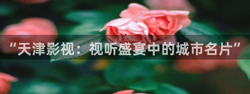 天狼影院成人免费：“天津影视：视听盛宴中的城市名片”