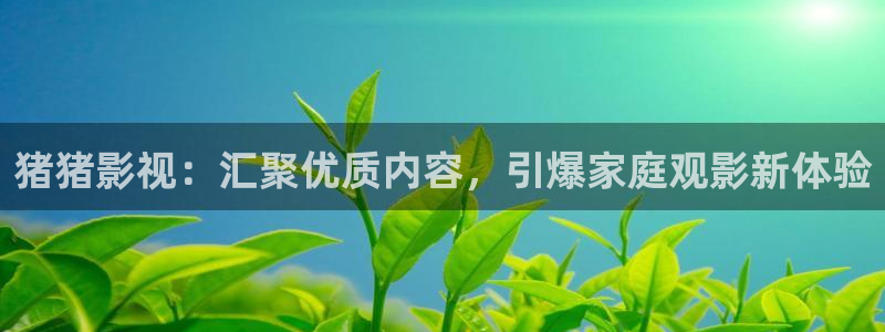 天狼影院2022电视剧：猪猪影视：汇聚优质内容，引爆家庭观影新体验