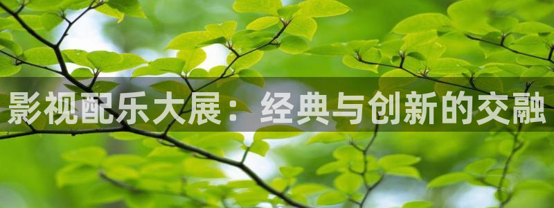 天狼影院电视剧2023在线：影视配乐大展：经典与创新的交融